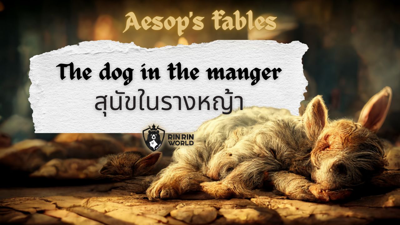 นิทานอีสป สุนัขในรางหญ้า The dog in the manger