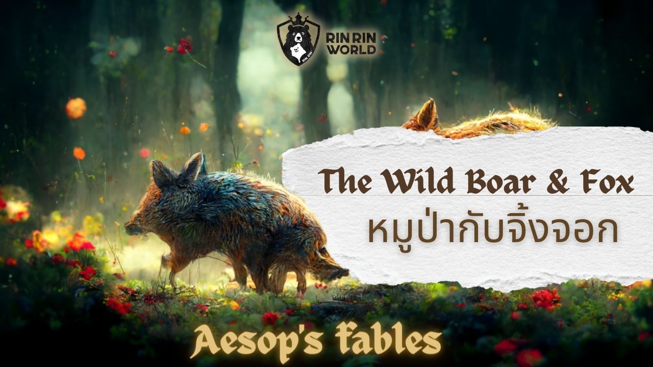 นิทานอีสป หมูป่ากับสุนัขจิ้งจอก The wild boar and the fox