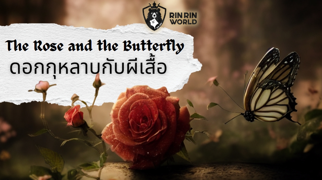 นิทานอีสป ดอกกุหลาบกับผีเสื้อ The Rose and the Butterfly