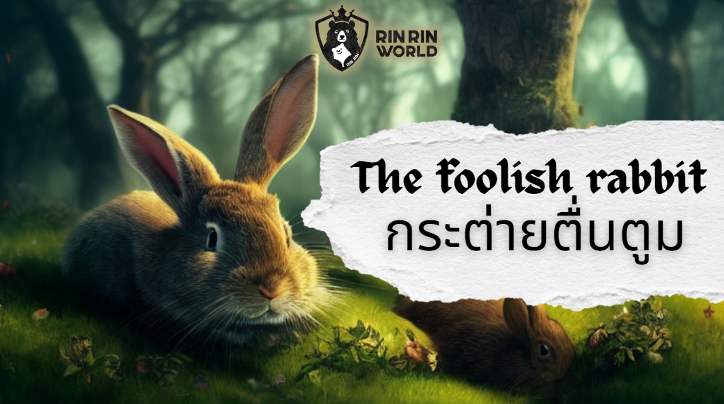 นิทานอีสป กระต่ายตื่นตูม The foolish rabbit