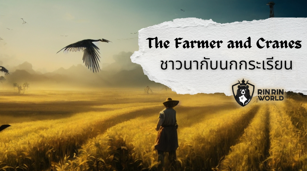 นิทานอีสป ชาวนากับนกกระเรียน The Farmer and the Cranes