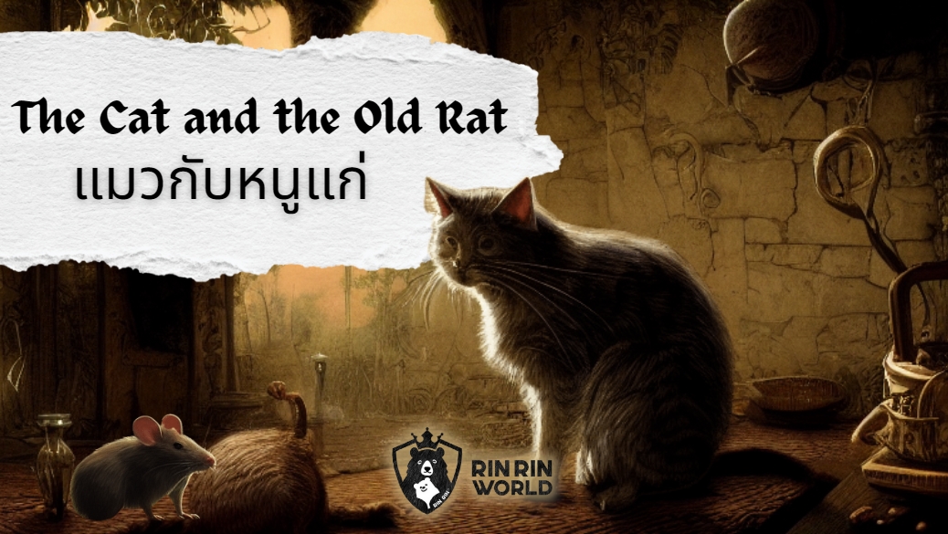 นิทานอีสป แมวกับหนูแก่ The Cat and the Old Rat