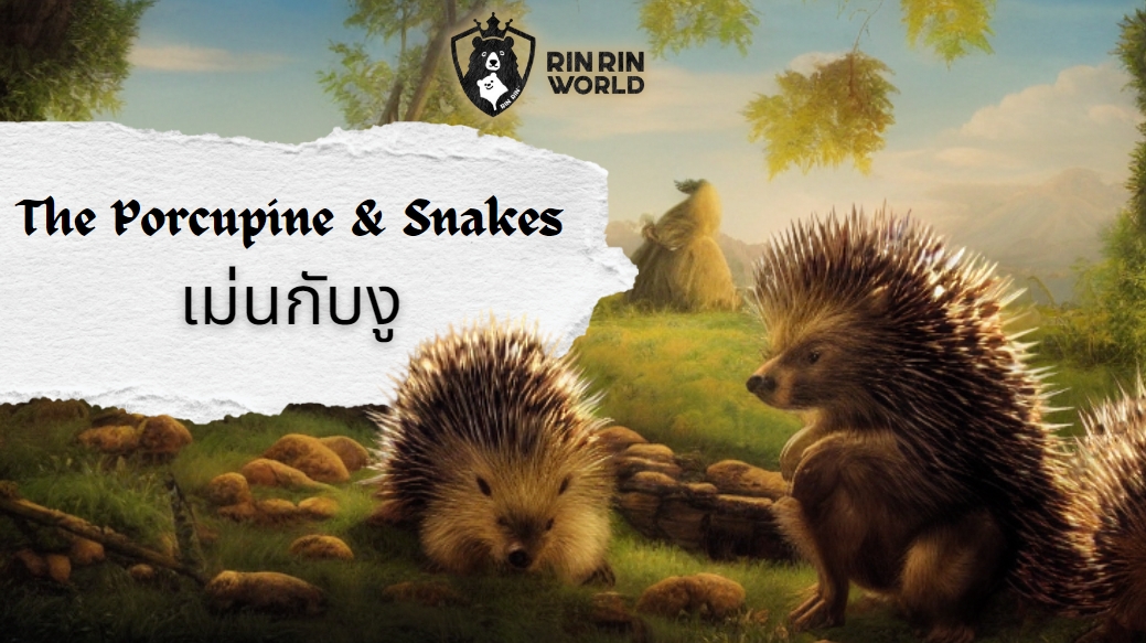 นิทานอีสป เม่นกับงู The Porcupine and the Snakes