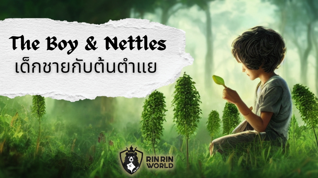 นิทานอีสป เด็กชายกับต้นตำแย The Boy and the Nettles