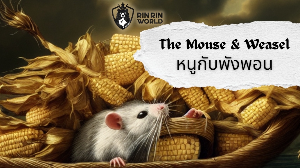 นิทานอีสป หนูกับพังพอน The Mouse and the Weasel