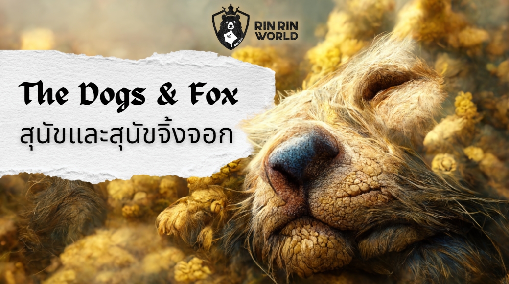 นิทานอีสป สุนัขและสุนัขจิ้งจอก The Dogs and the Fox