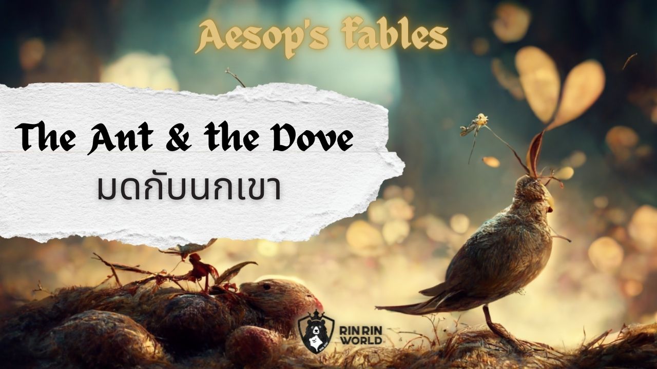 นิทานอีสป มดกับนกเขา The Ant and the Dove