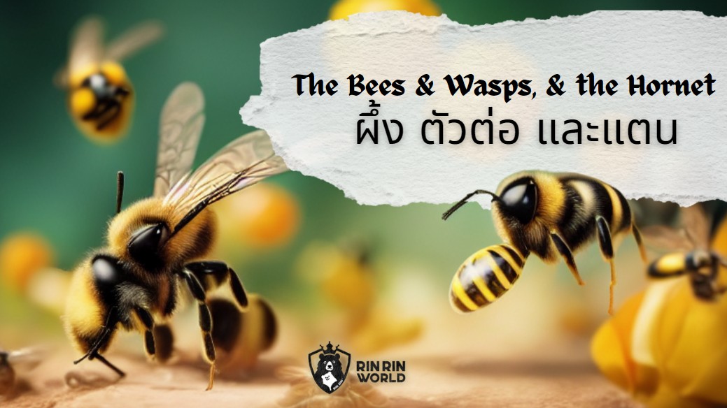 นิทานอีสป ผึ้ง ตัวต่อ และแตน The Bees, Wasps, and the Hornet